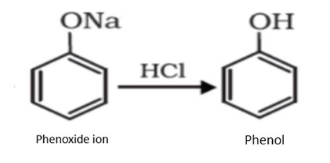 How to convert benzene into phenol?