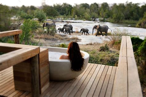 Londolozi Private Game Reserve | Sabi Sand | Mpumalanga | Exclusive ...