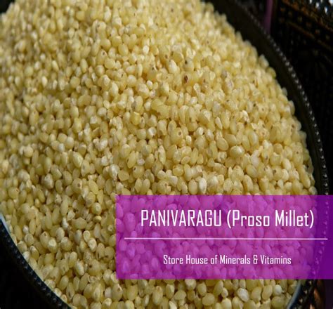 Proso Millet / Barri / Panivaragu | Organic food online, Organic recipes, Online food