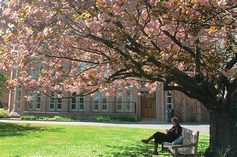 Richmond, the American International University in London | British ...