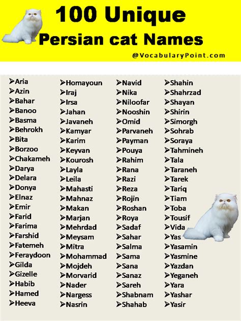 200+ Best Persian Cat Names (Unique, Male & Female) - Vocabulary Point