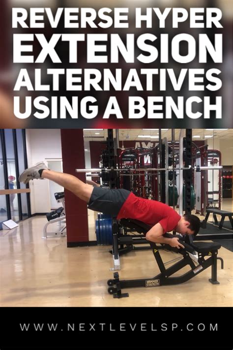 Reverse Hyper Extension Alternatives Using a Bench | Best body weight exercises, Full body ...