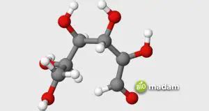 Difference Between Aldose and Ketose - biomadam