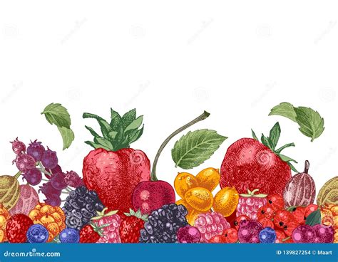 Seamless Border with Hand Drawn Berries Stock Vector - Illustration of cloudberries, nature ...