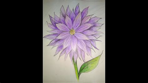 NATIONAL FLOWER OF MEXICO||dahlia|| how to draw dahlia step by step|| flower||dahlia in easy way ...