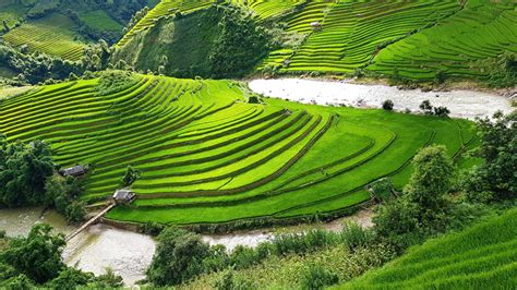 Sapa Travel Guide: What to Do & See, Best Time & More