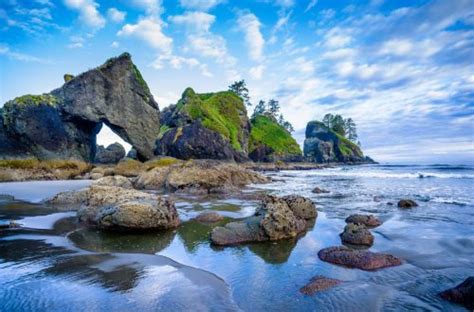 Shi Shi Beach and Point of Arches - Discover Beauty