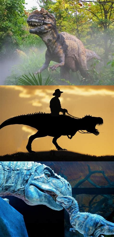 T rex cowboy silhouette | Funny wild animals, Funny animal vines ...