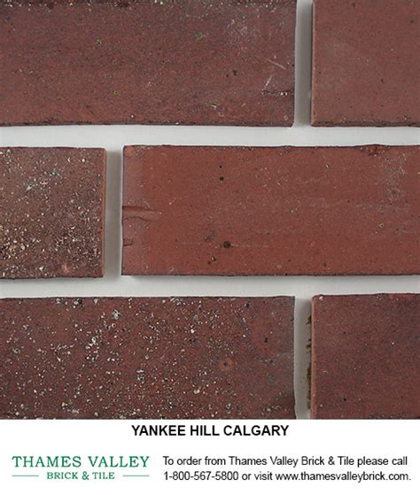 Calgary - Yankee Hill Face Brick - Thames Valley Brick & Tile