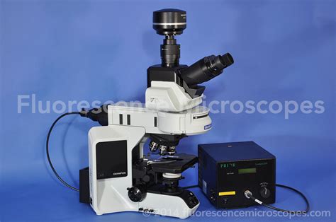 Fluorescence Microscopes - Olympus Model BX53 Upright Fluorescence Microscope Plan Apo Objectives