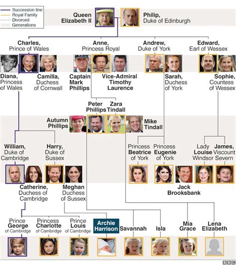 princess diana royal family tree - Sun Mullin