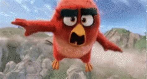 Angry Bird Scream GIF - AngryBird Scream Flying - Discover & Share GIFs