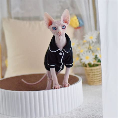 Pajamas for cats | cat silk & soft pajamas for sphynx cats