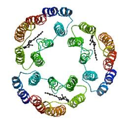 Bacteriorhodopsin: Bacteriorhodopsin: The Enzyme Plants Wish They Had