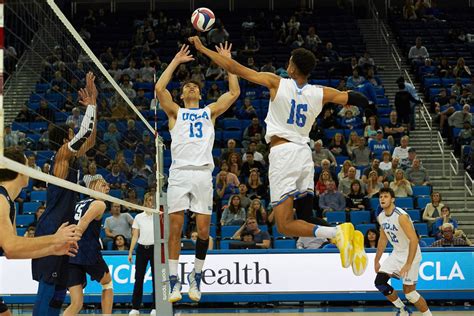 Ncaa Mens Volleyball 2024 - Annis Brianne