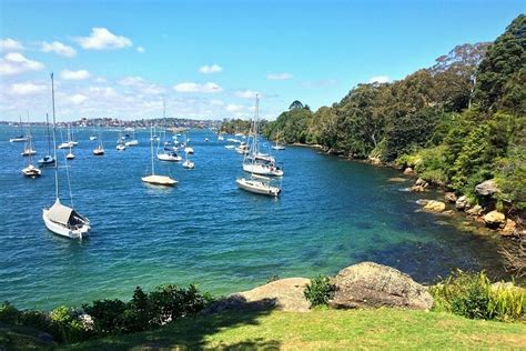 Cremorne Point Walk in Sydney Harbour | Sydney Uncovered