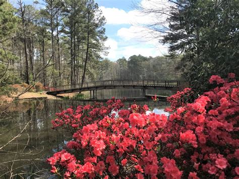 Callaway Gardens Hours | Fasci Garden