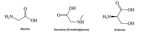 Glycine Supplement - Science-based Review on Benefits, Dosage, Side ...