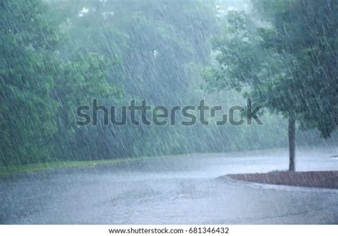 Rain Nature: Over 2,193,782 Royalty-Free Licensable Stock Photos ...