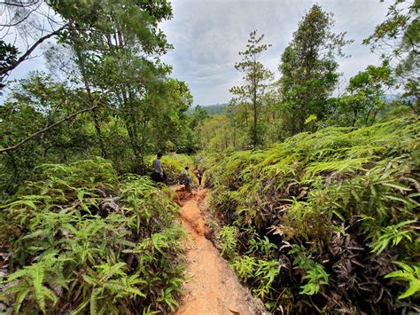 The 3 Best Hiking Trails of Brunei - Brunei Tourism Official Site