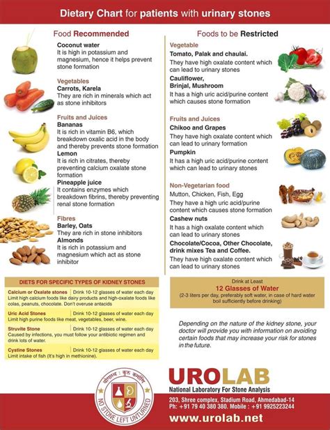 Printable Oxalate Food Chart - Printable Templates