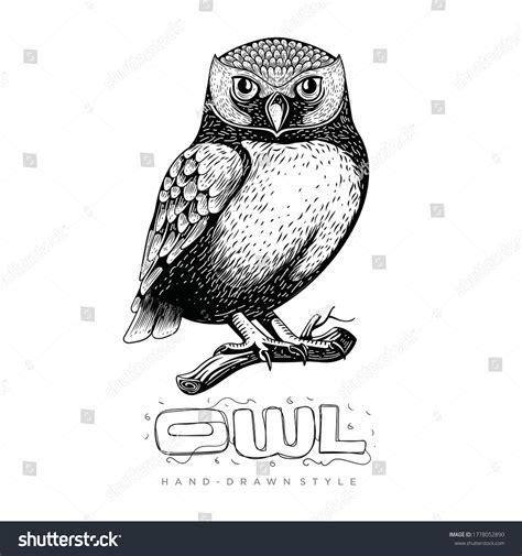 18,888 Owl In Tree Drawing Images, Stock Photos & Vectors | Shutterstock