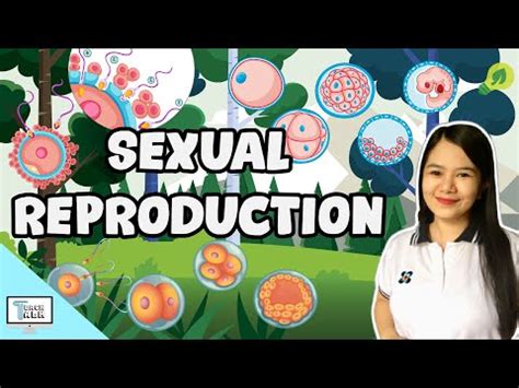 Sexual Reproduction in Animals and Plants - Comparison and Examples!