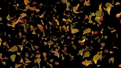 Autumn Leaves Falling Background