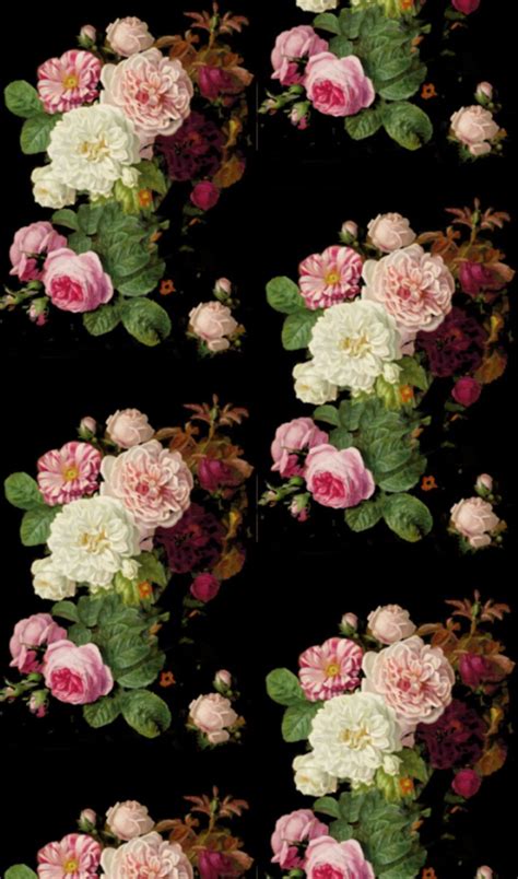 Black Vintage Floral Wallpapers - Top Free Black Vintage Floral ...