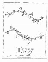 Leaf Coloring Page Ivy Our Of Leaves  Nation sketch template