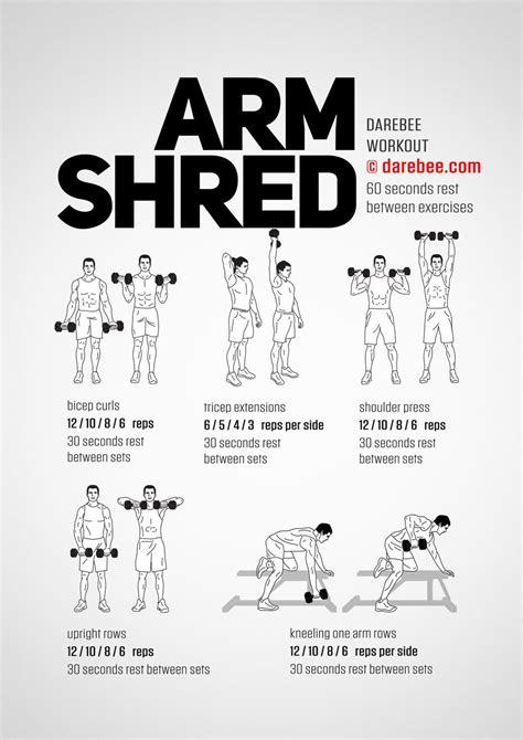 Arm Shred Workout | Shred workout, Dumbell workout, Gym workout tips