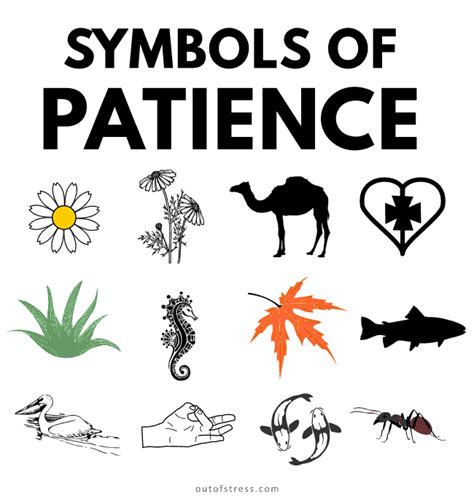 25 Symbols of Patience To Help Bring More Patience Into Your Life