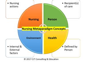 What is the Nursing Metaparadigm? - Nursing Education Expert