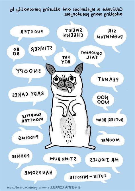 Cute Pug Names | PETSIDI