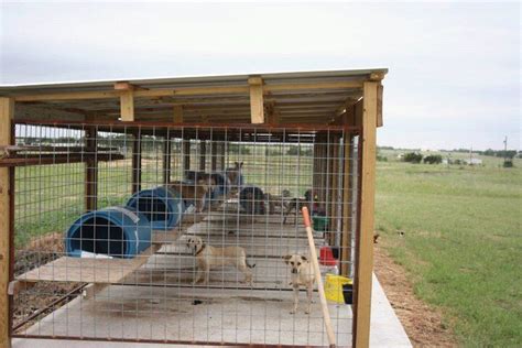 Ideas for kennels | Dog kennel outdoor, Diy dog kennel, Dog boarding kennels