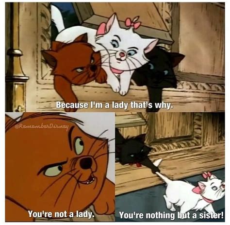 Aristocats- movie quote