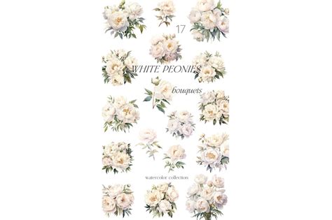 White peony watercolor floral set By Madiwaso Art | TheHungryJPEG