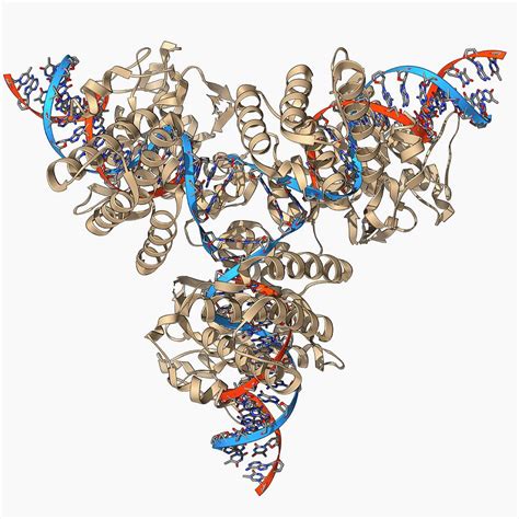 Cre-lox Recombination Photograph by Laguna Design/science Photo Library - Pixels