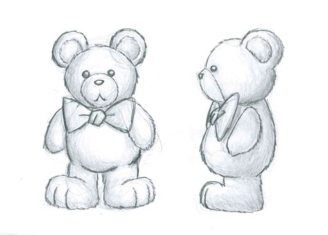 Pencil Sketch Of Teddy Bear at PaintingValley.com | Explore collection of Pencil Sketch Of Teddy ...