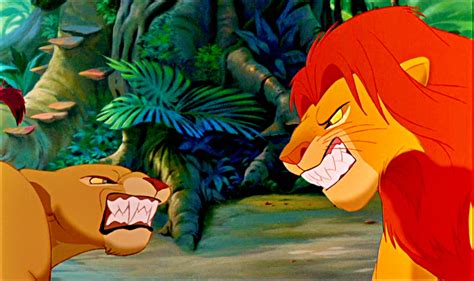 Nala and Simba's fight - The Lion King Photo (27649512) - Fanpop