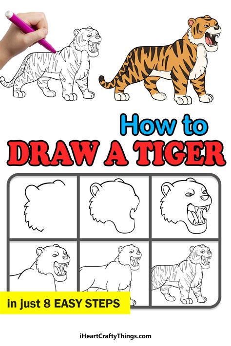 How To Draw A Step By Step Tiger