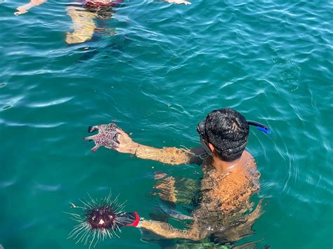 Tortuga Island Snorkeling