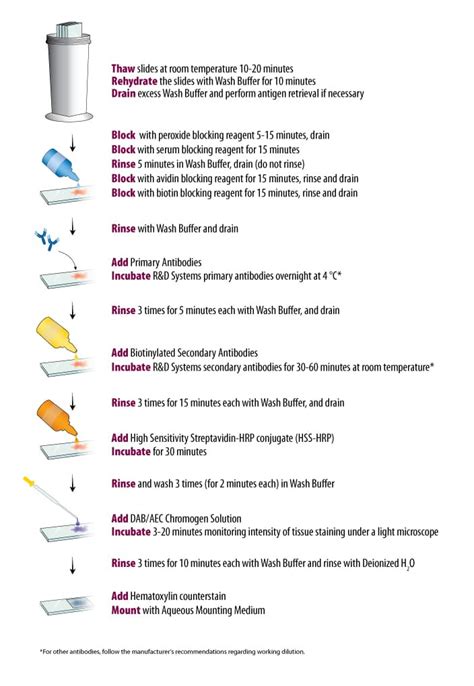 Protocol for the Preparation and Chromogenic IHC Staining of Frozen Tissue Sections - Graphic: R ...