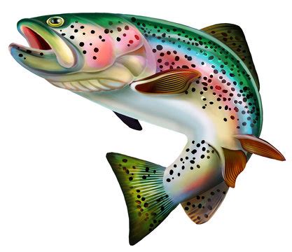 Rainbow Trout Jumping Images – Browse 942 Stock Photos, Vectors, and Video | Adobe Stock