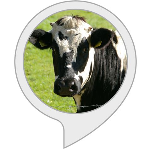 Amazon.in: Cow Sounds : Alexa Skills