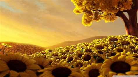 Sunflower garden, nature, sunflowers, flowers, trees HD wallpaper | Wallpaper Flare