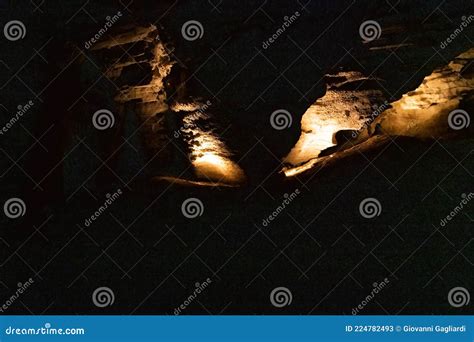 Waitomo Glowworm Caves Royalty-Free Stock Photo | CartoonDealer.com ...