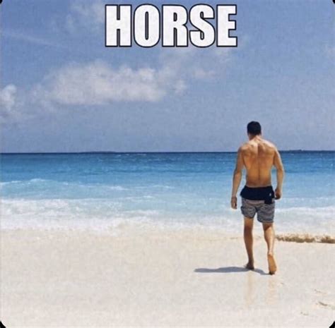 reverse horse at beach saying man meme funny hahaa do these even do ...