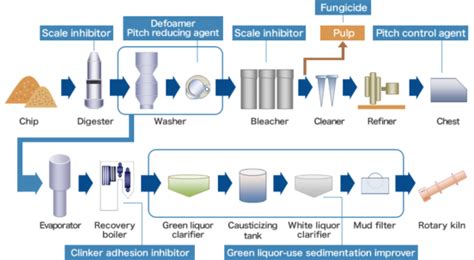 Manufacturing Process – Are We Consuming Pulpwood