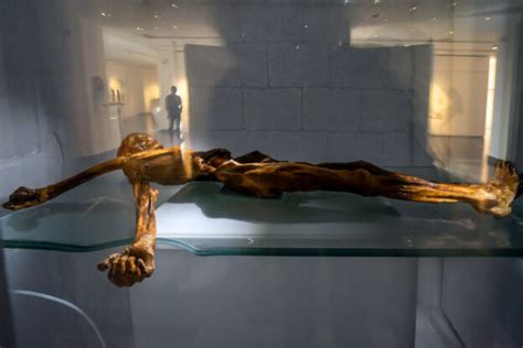 Ötzi 'The Iceman' Mummy and the South Tyrol Museum of Archaeology | Inexhibit